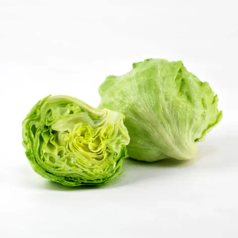 Lettuce – 1