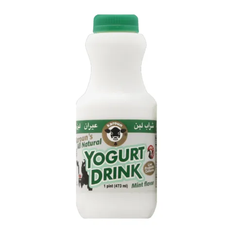 Dana Mint Yogurt Drink