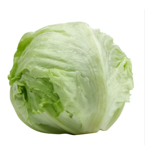 Foxy Iceberg Lettuce – 1 Medium Head