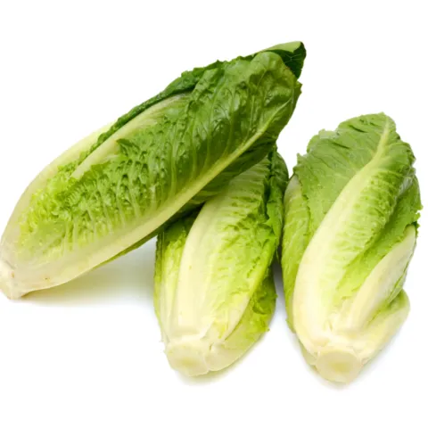 Romaine hearts