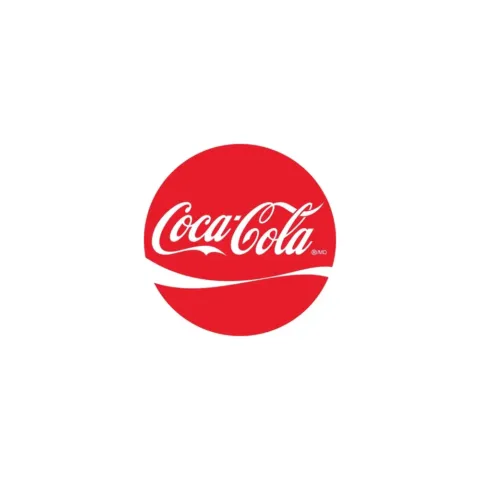 Coca cola can cokes LG – 355 g
